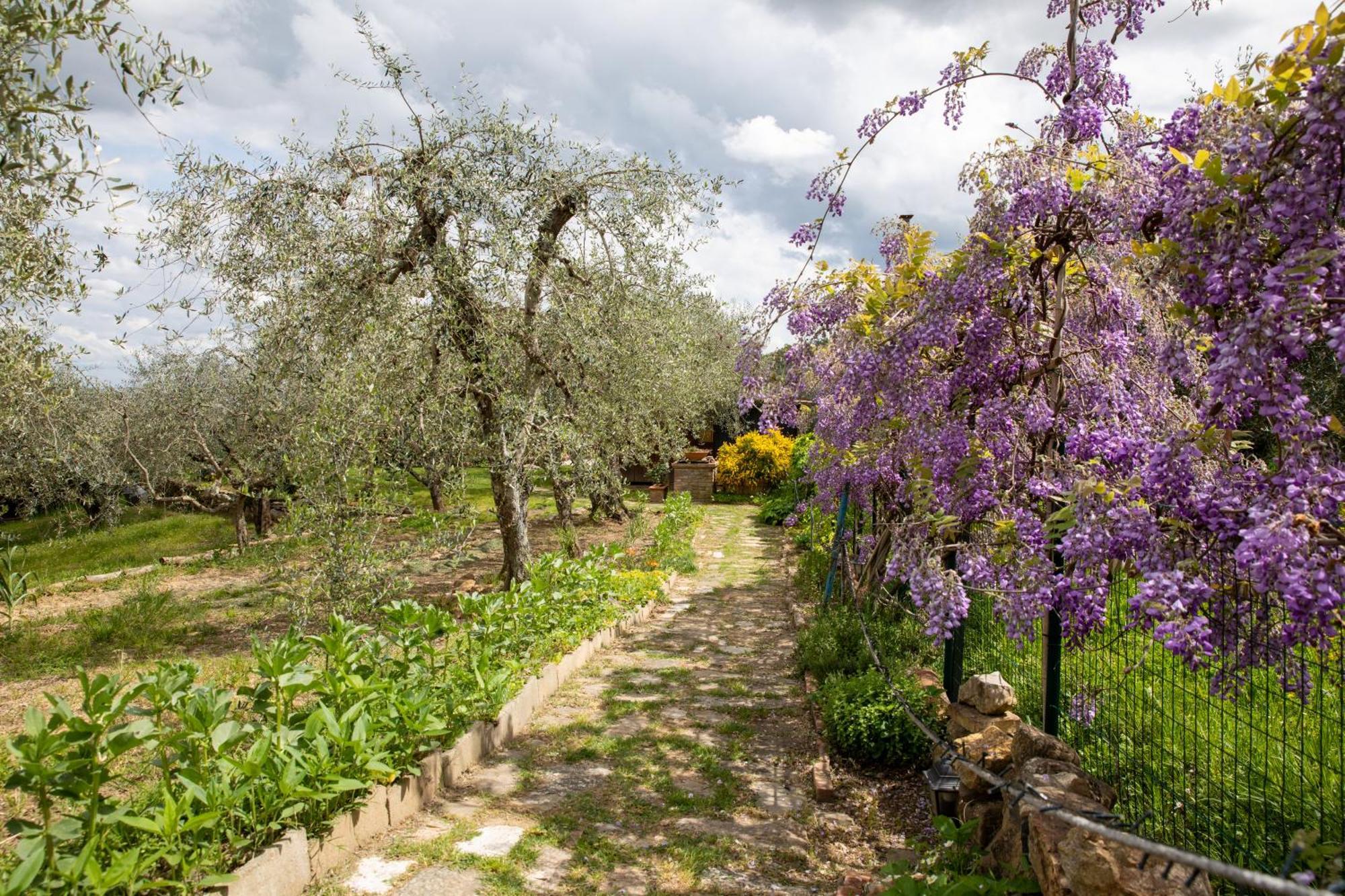 Il Poggio Dell'Eremita Daire Rigomagno Dış mekan fotoğraf